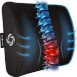 Samsonite Lumbar Support Pillow