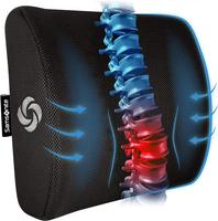 Samsonite Lumbar Support Pillow